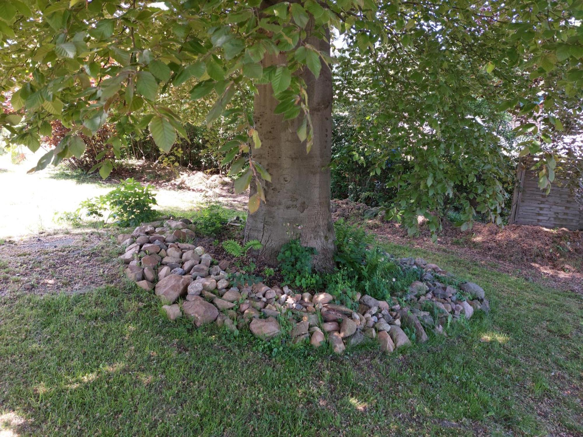 Auf der Wiese Gasthof Oberschmiede מראה חיצוני תמונה